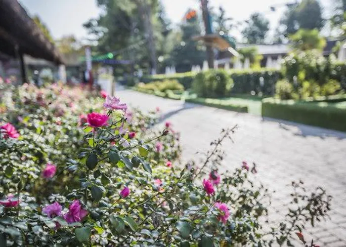 Prázdninový areál Hu Altomincio Village Valeggio sul Mincio